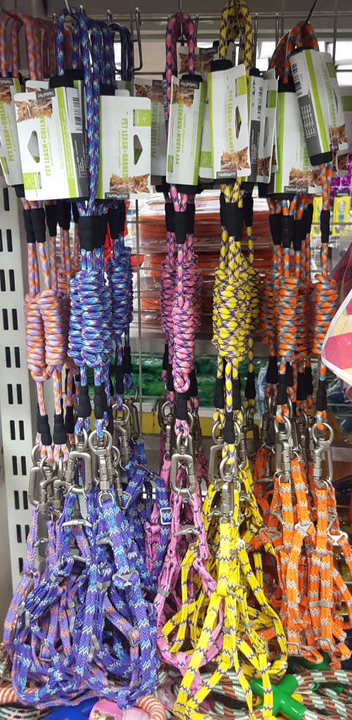 REDUCED TO CLEAR! Dog leash. See our other clearance auctions!