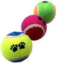 REDUCED TO CLEAR! Pet ball set. See our other clearance auctions!