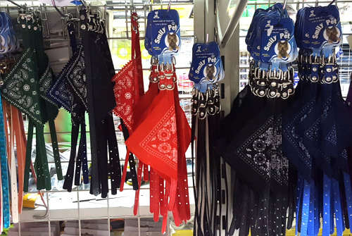 Dog collar. REDUCED TO CLEAR! See our other clearance auctions!