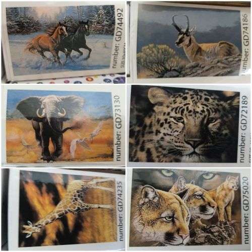 Full Diamond Dot Painting Kit (30x40cm) - Variety of Designs to Choose from