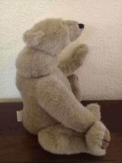 A sweet collectable bear