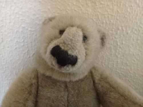 A sweet collectable bear