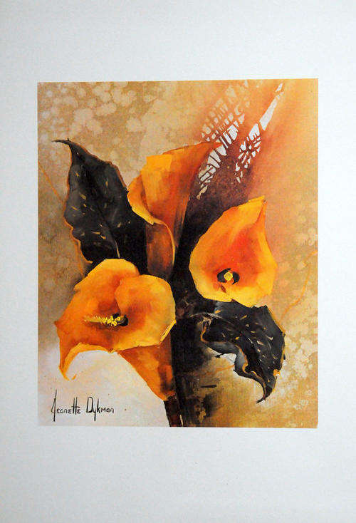 JEANETTE DYKMAN - portfolio of 5 superb South African flower reproductions
