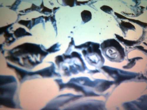 Hallmark art nouveau silver buttons