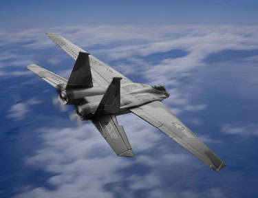 SDE3844 R/C F-15 AIRCRAFT