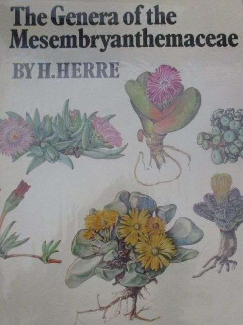 THE GENERA OF THE MESEMBRYANTHEMACEAE By H Here