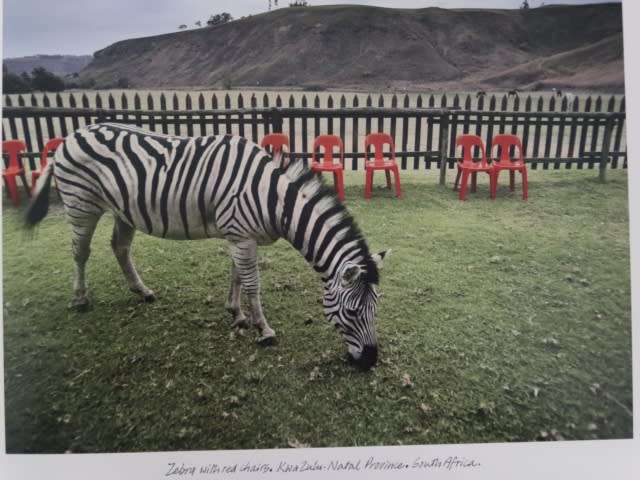 ROUND THE BEND - TRAVELS AROUND SOUTHERN AFRICA By Obie Oberholzer
