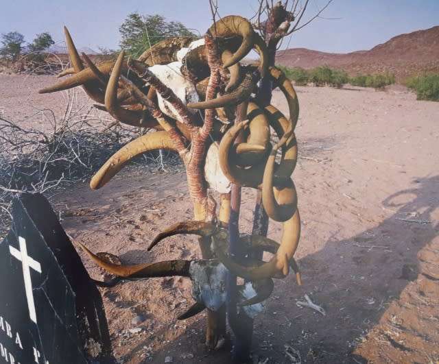 ROUND THE BEND - TRAVELS AROUND SOUTHERN AFRICA By Obie Oberholzer