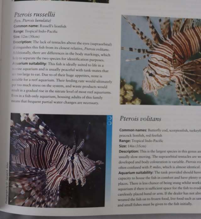 THE COMPLETE BOOK OF THE MARINE AQUARIUM. By Vincent B Hargreaves