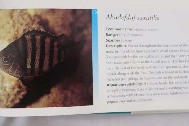 THE COMPLETE BOOK OF THE MARINE AQUARIUM. By Vincent B Hargreaves