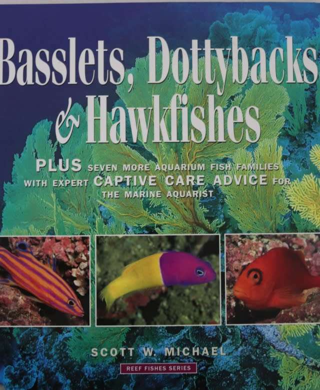 BASSLETS, DOTTYBACKS AND HAWKFISHES.   By Scott W Michael