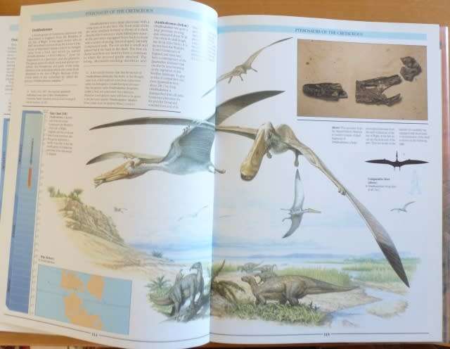 PTEROSAURS