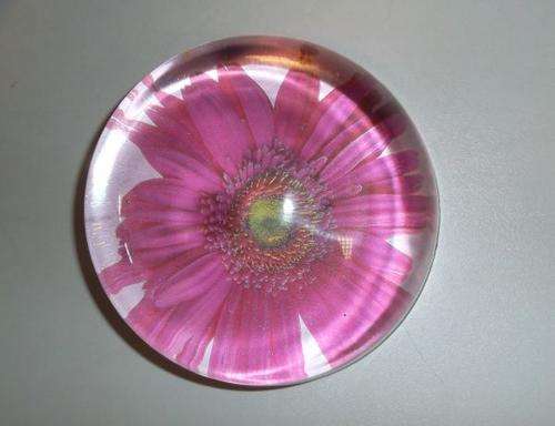 PINK DAISY PAPERWEIGHT (Galison New York)