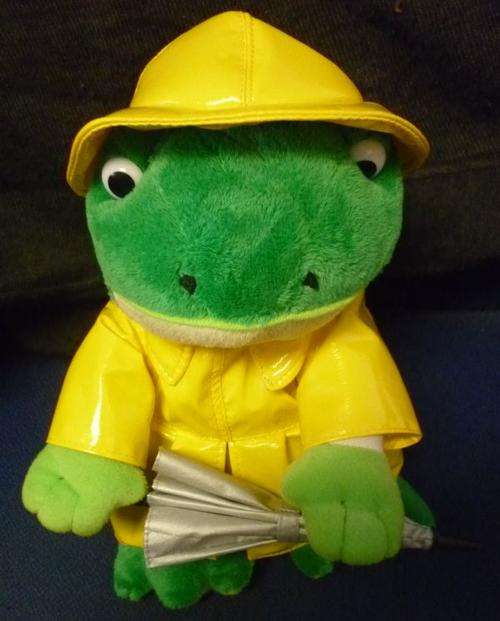 SINGING FROG - (Singing in the Rain)