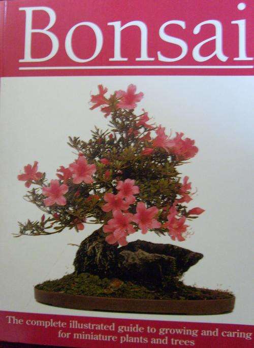BONSAI: By Luigi Crespi