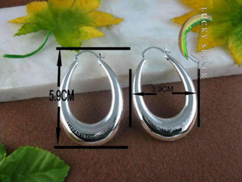 Lucky Silver 925 Stamped Fashion Accessories - EARRINGS (Import)