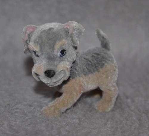 Puppy in My Pocket - terrier