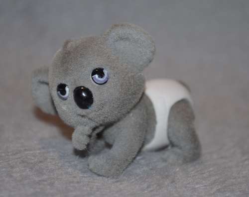 Jungle in My Pocket - Koala