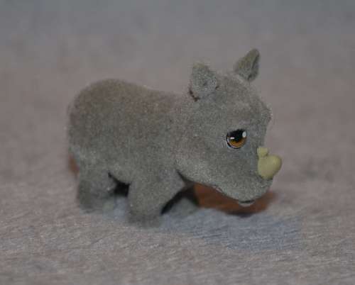 Jungle in My Pocket - Rhino