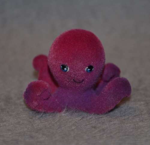 Ocean in My Pocket - octopus