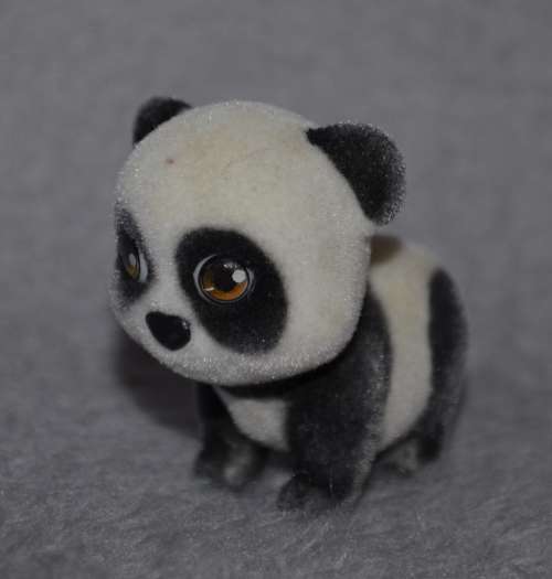 Jungle in My Pocket - Panda