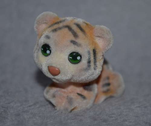 Jungle in My Pocket - Tiger cub