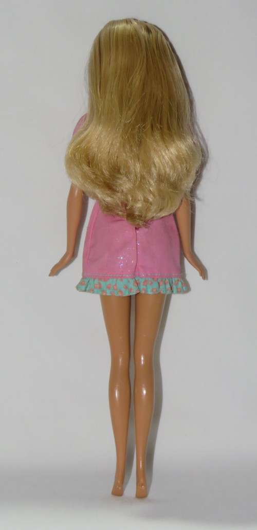 Mattel Barbie (wearing Mattel vet outfit)