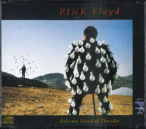 Pink Floyd - Delicate Sound Of Thunder (2-CD)