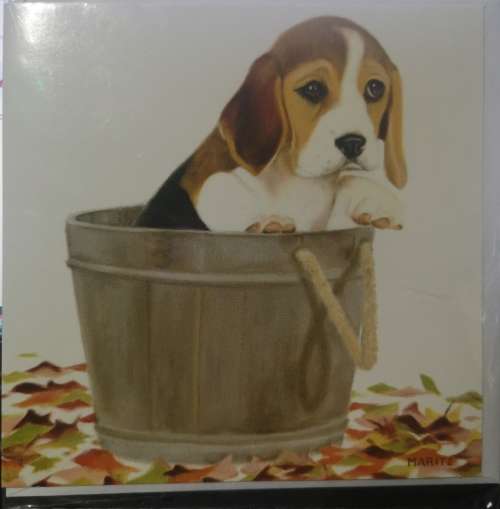 Greeting/Birthday Card + Envelope - Dog [New]