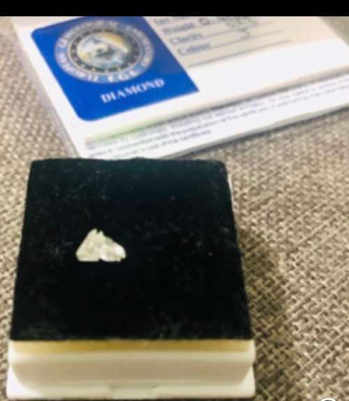Extremely Rare Horse Head Cut Diamond EGL Certified