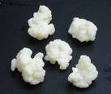 milk kefir grains (yoghurt plant)