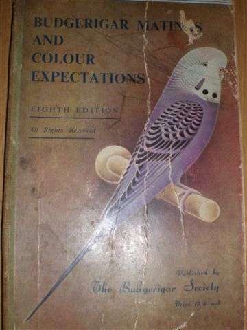 Budgerigar Mating & Colour Expectations