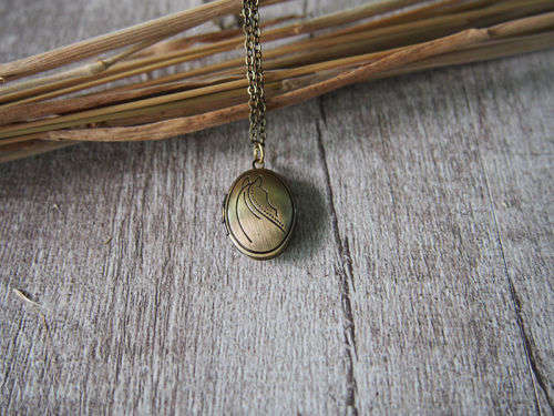 Horse Pony Small Vintage Brass Photo Picture Locket