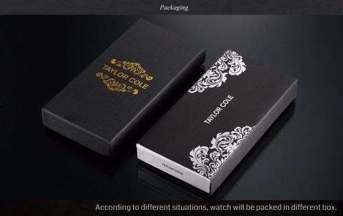 Taylor Cole Luxury Silver Stainless Steel Lady Women Watch - SILVER