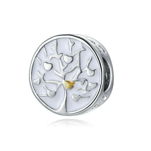 1pcs Silver  European Charm Beads Fit 925 Necklace, Bracelet Pendant Chain