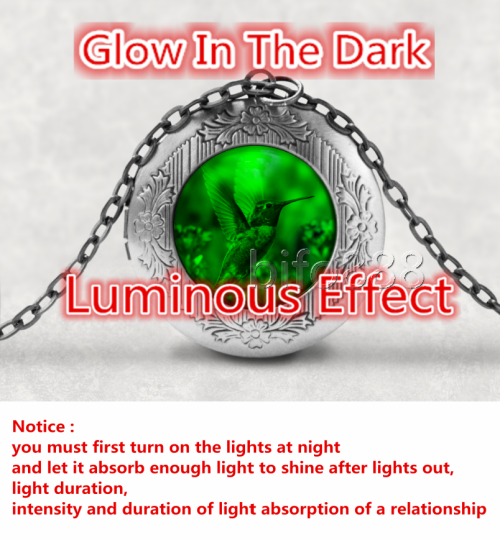 Hummingbird Photo Cabochon Glass Locket Necklace Glow in the dark