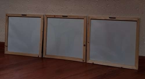 Canvas Prints x3 Black and White Flowers