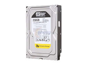 Western Digital RE3 WD2502ABYS 250GB 7200 RPM 16MB Cache SATA 3.0Gb/s 3.5" Internal Hard Drive