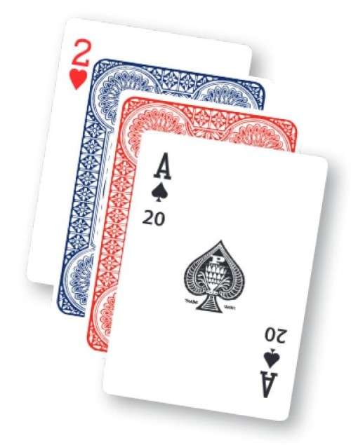 Protea Canasta Playing Card Set