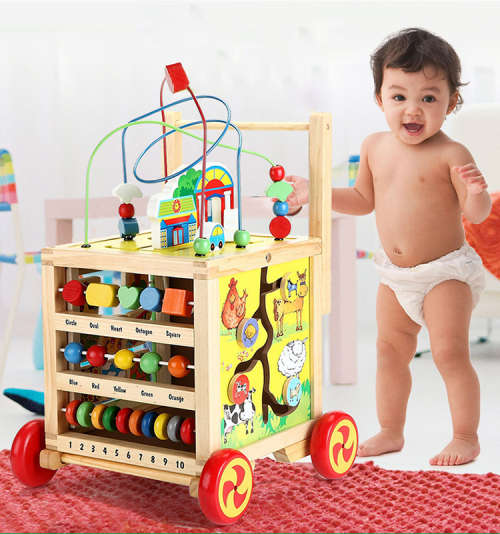 Wooden Cube Activity Walker