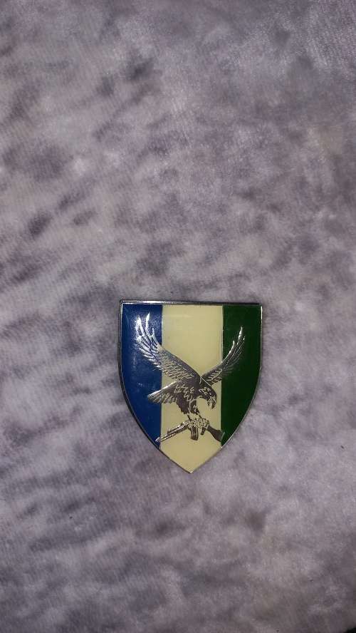 101 battalion shoulder flash