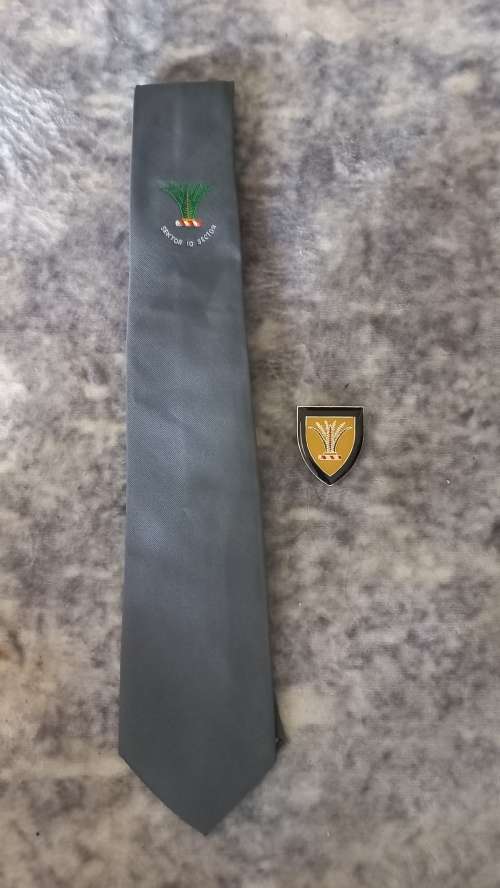 SECTOR 10 FLASH AND TIE