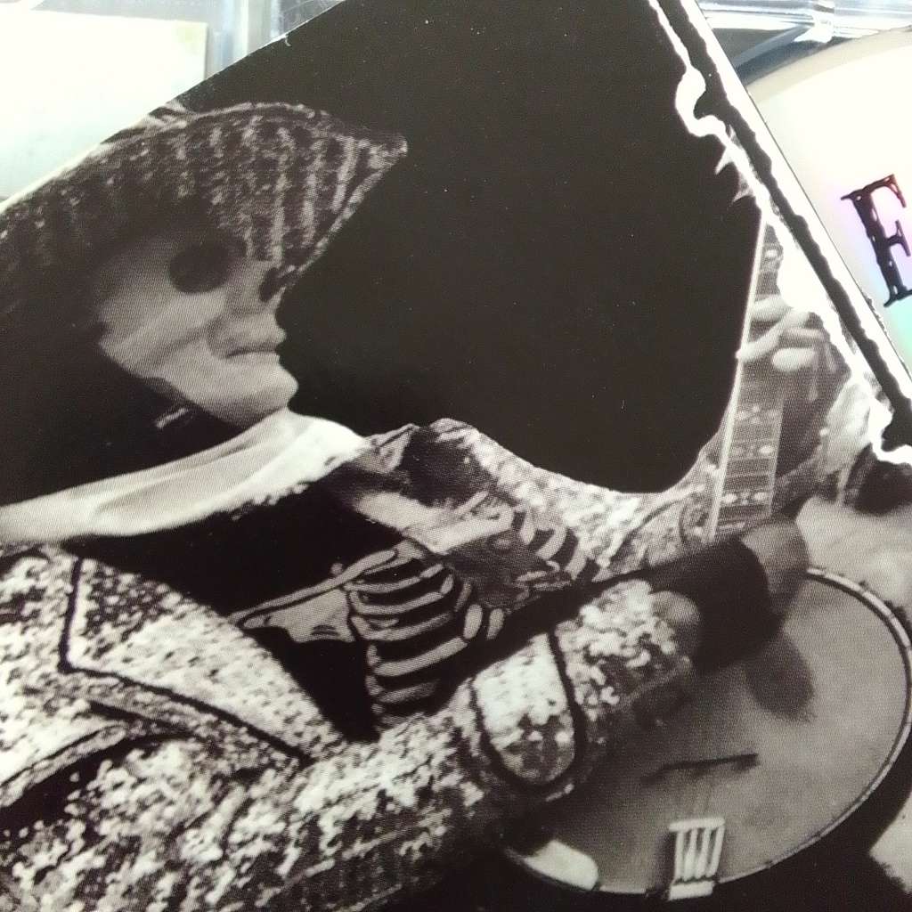 The Offspring (CD) Ixnay On The Hombre