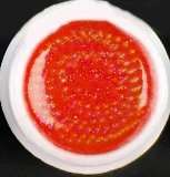 GLITTER COLOR UV GEL FOR NAIL ART TIPS 8ml