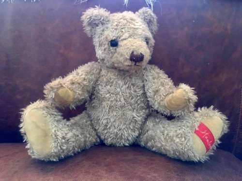Hamleys Teddy Bear