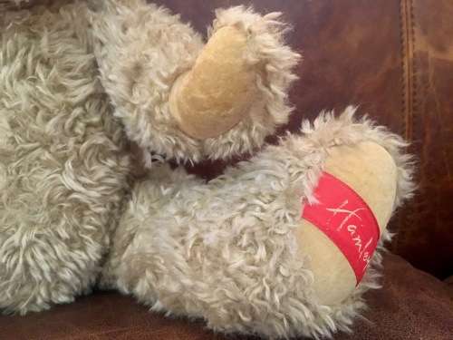Hamleys Teddy Bear