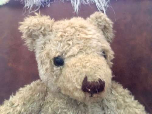 Hamleys Teddy Bear