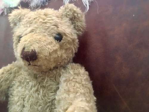 Hamleys Teddy Bear