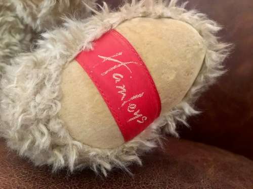 Hamleys Teddy Bear
