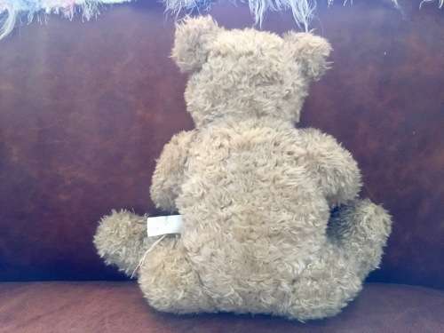 Hamleys Teddy Bear